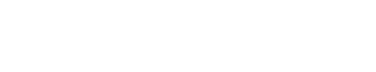 WD Electronics Logo